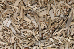 biomass boilers Bishopstone