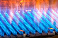 Bishopstone gas fired boilers